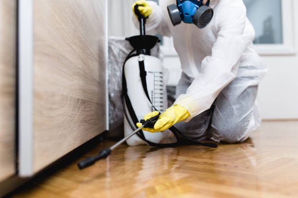 Best Pest Control Treatment  in Silver Lake, NJ