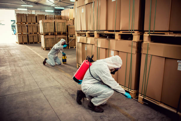 Best Bed Bug Extermination  in Silver Lake, NJ