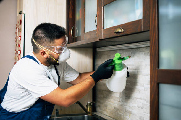 Flea Control Services in Silver Lake, NJ