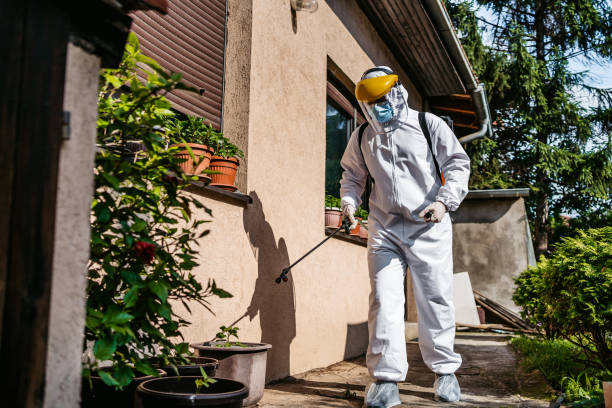 Best Cockroach Control Services  in Silver Lake, NJ