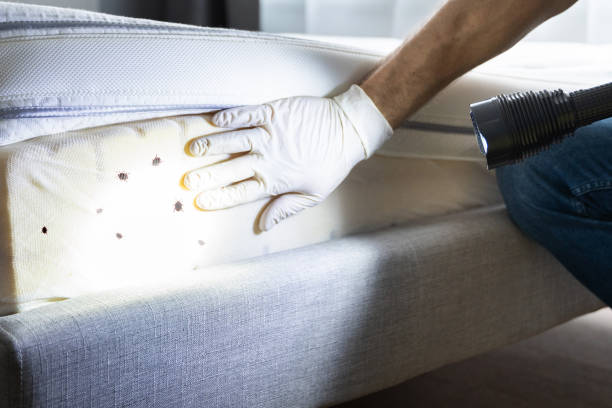 Best Exterminator Services  in Silver Lake, NJ