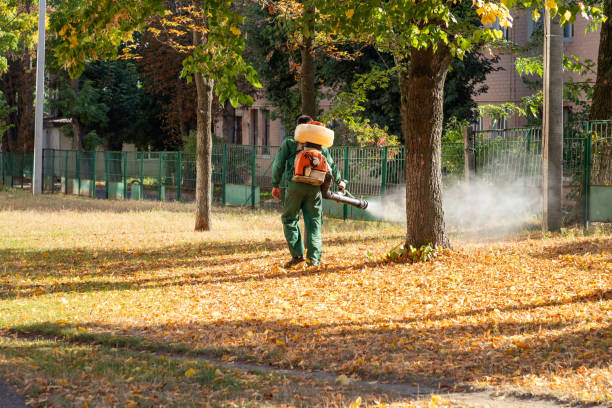 Best Cockroach Control Services  in Silver Lake, NJ